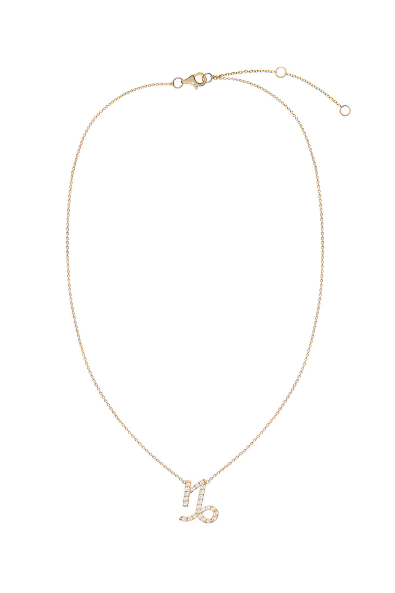 Capricorn Zodiac Gold Symbol Necklace